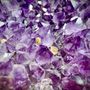 Unique pieces - The XXL Amethyst Druse: Art and Deco Object (unique handmade piece) - LAVENTURINE GALLERY