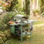 Barbecues - Piana Gaz - Gas pizza oven - Eucalyptus - ZIIPA