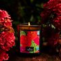 Decorative objects - Scented handmade candle\" Zörka\ " - TIBATIKA