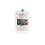 Candles - Romance Candle - Japanese Strawberry Note - Basic - L'COLLECTIONS PARIS