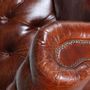 Sofas - Chesterfield Cigar 3-Seater Leather Sofa - Classic Design and Comfort - JP2B DECORATION