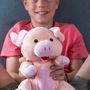 Peluches - Cherry Belly Peluche Cochon - Coussin de Noyaux de Cerise - Lavable - INATURA