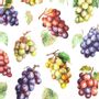 Decorative objects - grapes Paper Napkins. - KARENA INTERNATIONAL