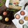 Gifts - Gift Egg Box with 6 Blossombs Seed Bombs - BLOSSOMBS