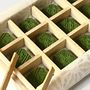 Senteurs - Matcha scents 「KOTOHA」”Mon-yo”12pcs. - AUTHENTIC MATCHA SCENTS KOTOHA