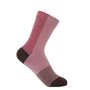 Socks - Autumnal Ladies Gift Box - PEPER HAROW SOCKS