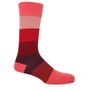 Socks - Elements Men's Gift Box - PEPER HAROW SOCKS