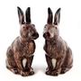 Ceramic - Salt and Pepper Sets - QUAIL DESIGNS EUROPE BV