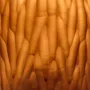 Vases - Engraved glass vase - CFOC