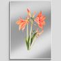 Other wall decoration - AMARYLLIS - FIORI VINTAGE - QUADRO MOLTO BELLO