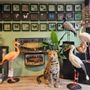 Decorative objects - Taxidermy & Wildlife Artist - DMW.NU: TAXIDERMY & INTERIOR