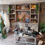 Unique pieces - Decorative object Interior design with the miracles of nature - DMW.NU: TAXIDERMY & INTERIOR