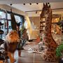 Unique pieces - Decorative object Interior design with the miracles of nature - DMW.NU: TAXIDERMY & INTERIOR