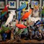 Unique pieces - Bird Taxidermy - DMW.NU: TAXIDERMY & INTERIOR