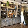 Unique pieces - Bird Taxidermy - DMW.NU: TAXIDERMY & INTERIOR