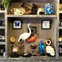 Unique pieces - Bird Taxidermy - DMW.NU: TAXIDERMY & INTERIOR