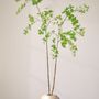 Floral decoration - Artificial trees and plants - Sculpted branches - SILK-KA BV