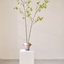 Floral decoration - Artificial trees and plants - Sculpted branches - SILK-KA BV