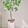 Floral decoration - Artificial trees and plants - The Green Signature Collection - SILK-KA BV