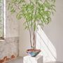 Décorations florales - Arbres et plantes artificiels - The Green Signature Collection - SILK-KA