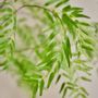 Décorations florales - Arbres et plantes artificiels - The Green Signature Collection - SILK-KA