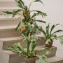 Floral decoration - Artificial potted trees and plants - Treasured Plants Collection - SILK-KA