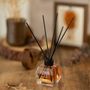 Scent diffusers - Reed diffuser with sticks Amber & Musk - LORIS PARFUM