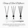 Scent diffusers - Reed diffuser with sticks Amber & Musk - LORIS PARFUM