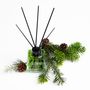 Scent diffusers - Fragrance diffuser Christmas sticks Pine Forest - LORIS PARFUM