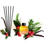 Scent diffusers - Stick Fragrance Diffuser Raspberry & Vanilla - LORIS PARFUM