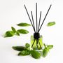 Scent diffusers - Stick Fragrance Diffuser Basil - LORIS PARFUM