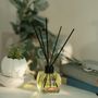 Scent diffusers - Stick Fragrance Diffuser Coconut - LORIS PARFUM