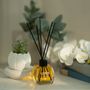 Scent diffusers - Stick Fragrance Diffuser Melon - LORIS PARFUM