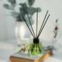 Scent diffusers - Reed diffuser with sticks Green Tea - LORIS PARFUM