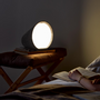 Lampes de table - Uni·Multi-Functional & Portable Lamp - OLOILU