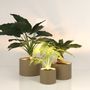 Flower pots - Tank Collection - MAZU BV