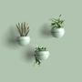 Vases - Astra Wall Sage - ABSOLUTA COLLECTION