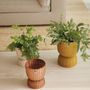 Pottery - TWIST - plant basket. - HANDED BY