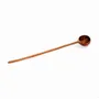 Flatware - The Teak Root Dosage Spoon - BAZAR BIZAR LIVING