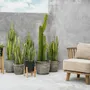 Small sofas - The Malawi One Seat Sofa - Natural Beige - BAZAR BIZAR LIVING