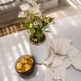 Vases - The Sneaky Vase - White Natural - L - BAZAR BIZAR LIVING