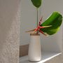 Vases - The Sneaky Vase - White Natural - L - BAZAR BIZAR LIVING