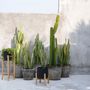 Vases - Jardinière Charcoal Bas - Noir Naturel - S - BAZAR BIZAR LIVING