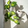 Vases - The Trendy Vase - Concrete - M - BAZAR BIZAR LIVING