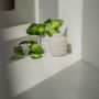 Vases - The Trendy Vase - Concrete - L - BAZAR BIZAR LIVING