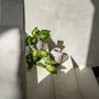 Vases - The Trendy Vase - Concrete - L - BAZAR BIZAR LIVING