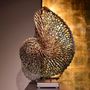 Objets design - Nautilus Sculpture - CREATIV LIGHT