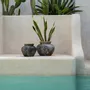Vases - Le Vase Sneaky - Gris Antique - L - BAZAR BIZAR LIVING