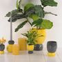 Pottery - FLORIST - RASTELI - BELGIUM
