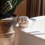 Sculptures, statuettes and miniatures - The Sumba Stone #37 - BAZAR BIZAR LIVING